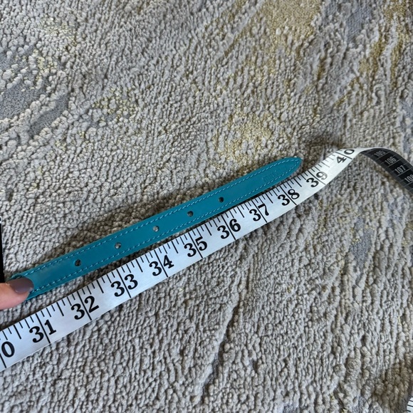 Miu Miu Gold Chain Braided Belt in teal Patent leather
Small new - Picture 4 of 8